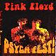 Pink Floyd PsychFest